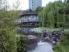 thmb_ChinatownDavid 022.jpg