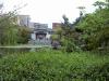 thmb_ChinatownDavid 026.jpg