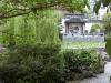 thmb_ChinatownDavid 027.jpg