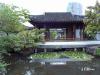 thmb_ChinatownDavid 028.jpg