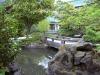 thmb_ChinatownDavid 029.jpg