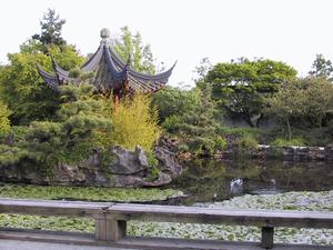 thmb_ChinatownBill 005.jpg