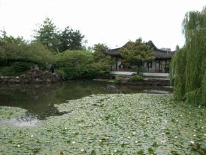 thmb_ChinatownBill 027.jpg