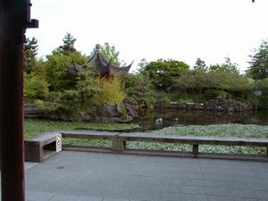 thmb_ChinatownDavid 006.jpg