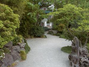 thmb_ChinatownDavid 019.jpg