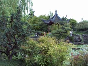 thmb_ChinatownDavid 020.jpg