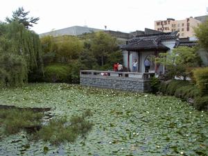 thmb_ChinatownDavid 021.jpg