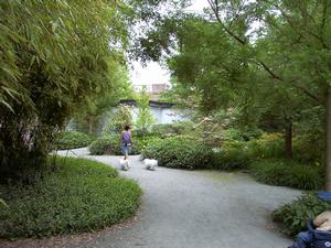 thmb_ChinatownDavid 025.jpg