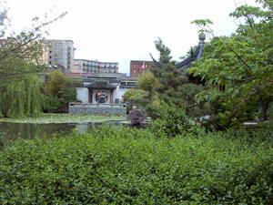 thmb_ChinatownDavid 026.jpg