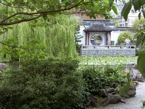 thmb_ChinatownDavid 027.jpg