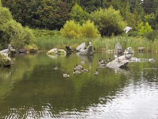 109-0902_img.jpg