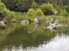 109-0902_img.jpg