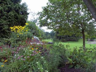 Image064.jpg