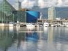 View across to False Creek North