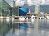 View across to False Creek North