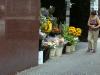 Image012.jpg