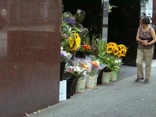 Image012.jpg