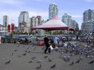108-0875_img.jpg