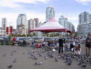 108-0876_img.jpg
