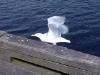 Image029.jpg