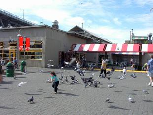 Image018.jpg