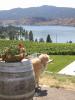 thmb_KelownaBill 039.jpg