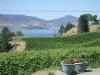 thmb_KelownaBill 040.jpg