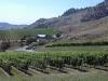 thmb_KelownaDavid 017.jpg