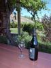thmb_KelownaDavid 023.jpg