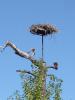 thmb_KelownaDavid 032.jpg