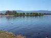 thmb_KelownaDavid 035.jpg