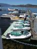 thmb_KelownaDavid 048.jpg
