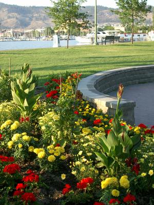 thmb_KelownaBill 013.jpg