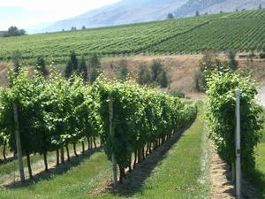 thmb_KelownaBill 030.jpg