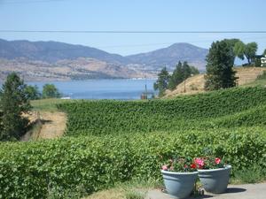 thmb_KelownaBill 040.jpg