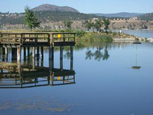 thmb_KelownaBill 046.jpg