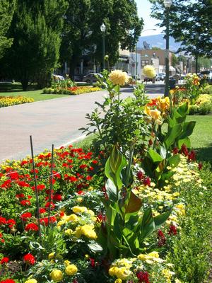 thmb_KelownaBill 067.jpg
