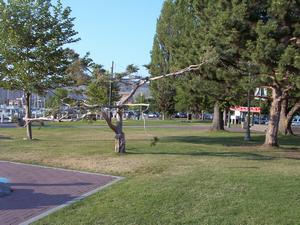 thmb_KelownaDavid 003.jpg