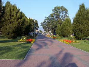 thmb_KelownaDavid 007.jpg