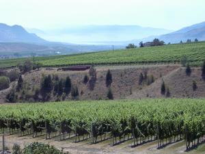 thmb_KelownaDavid 016.jpg