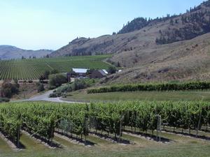 thmb_KelownaDavid 017.jpg