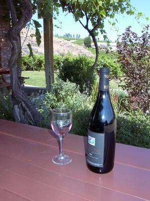 thmb_KelownaDavid 022.jpg