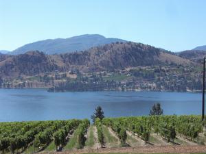 thmb_KelownaDavid 025.jpg