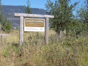 thmb_KelownaDavid 030.jpg