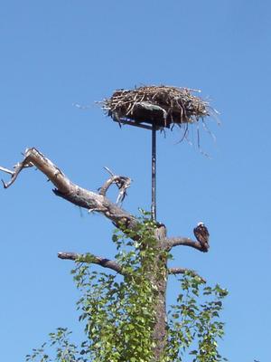 thmb_KelownaDavid 032.jpg