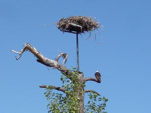 thmb_KelownaDavid 033.jpg