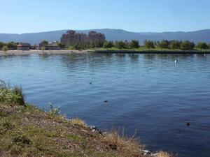 thmb_KelownaDavid 036.jpg