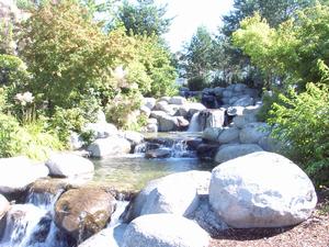 thmb_KelownaDavid 042.jpg