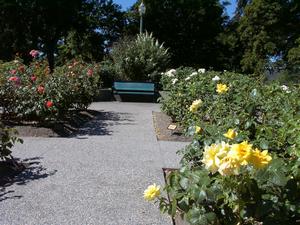 thmb_KelownaDavid 062.jpg