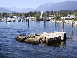108-0815_img.jpg